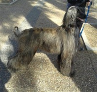 /album/marcos-gallery/a10401397-10201090728030851-4396679436395815171-n-jpg2/