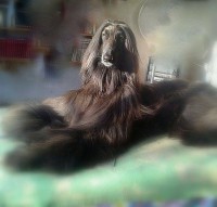 /album/marcos-gallery/a10466837-10202008252319412-1379149082-n-jpg1/