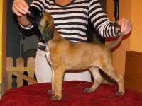 /album/calypsos-gallery/a1798657-10201554294370747-128953995-n-jpg/