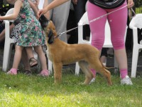 /album/calypsos-gallery/a10309374-10201861324926319-706521611962123359-n-jpg/