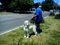 /album/asias-gallery/a287306-1893523318304-1622039902-o-jpg1/