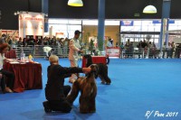 /album/marcos-gallery/a226919-1533099867943-5912977-n-jpg/