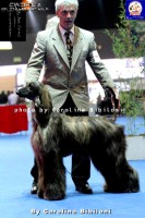 /album/marcos-gallery/a226919-1533099907944-6256473-n-jpg/