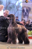 /album/marcos-gallery/a228247-1566145974075-1994307-n-jpg/