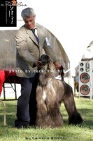 /album/marcos-gallery/a230958-1533090427707-5499497-n-jpg/