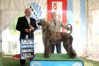 /album/marcos-gallery/a230958-1533090467708-2711227-n-jpg/