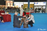 /album/marcos-gallery/a230958-1533090587711-4790549-n-jpg/