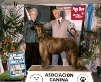 /album/marcos-gallery/a299789-1939470026943-1303602021-n-jpg/