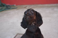 /album/skys-gallery-/a10262118-10201785395917114-6643582258150250145-n-jpg2/