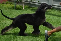 /album/skys-gallery-/a10897002-10202469713224619-2329324138114805153-n-jpg1/