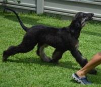 /album/skys-gallery-/a10945651-10202469713824634-4355605235644272916-n-jpg/