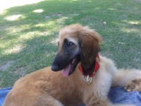 /album/tayes-gallery-/a10436309-1509263779353035-3331154121733433583-n-jpg/