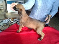 /album/tayes-gallery-/a10654039-10201651926500462-1336652360-n-jpg2/