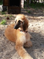 /album/tayes-gallery-/a10924788-1530599083886171-3816768913438211259-n-jpg1/