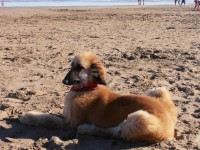 /album/tayes-gallery-/a10922824-1530602420552504-8885534544227155678-n-jpg/