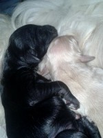 /album/kamils-gallery-/a10582292-10201454887094600-1055427687-n-jpg2/