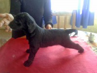 /album/kamils-gallery-/a10638096-10201666888274497-594310862-n-jpg2/