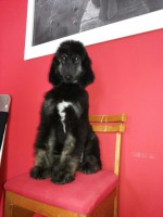 /album/kamils-gallery-/a10676395-10205487139524225-7636918427283525734-n-jpg/