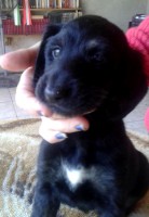 /album/kamils-gallery-/a10699310-10201723803857351-1150591295-n-jpg2/