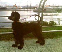 /album/kamils-gallery-/a10849990-10205671737979071-63756227970907484-n-jpg2/