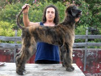 /album/sashas-gallery-/a10923311-10203556783226841-6877732837775427806-n-jpg1/