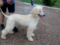 /album/zephiroths-gallery/a10944838-10202477612502096-1506837104-n-jpg/