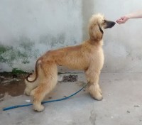 /album/kairos-gallery-/a11040102-10202723068078332-480141025-n-jpg1/