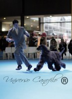 /album/marcos-gallery/a11692756-990864620958936-2043402637059662545-n-jpg1/