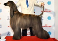 /album/marcos-gallery/a11791601-10203403838897177-1398919335-llllllllllllllllllln-jpg1/