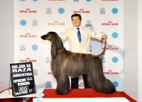 /album/marcos-gallery/a11791601-10203403838897177-1398919335-n-jpg1/