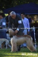 /album/calypsos-gallery/a12272783-1066601830019129-1912702986-n-jpg1/