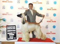 /album/calypsos-gallery/a12295461-10203951960279869-5949147551917209967-n-jpg1/