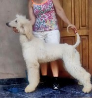 /album/gallery/a11072173-10202723023437216-490858948-n-jpg2/