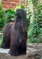 /album/marcos-gallery/a37126532-10209827594487052-98412286460297216-n-jpg/